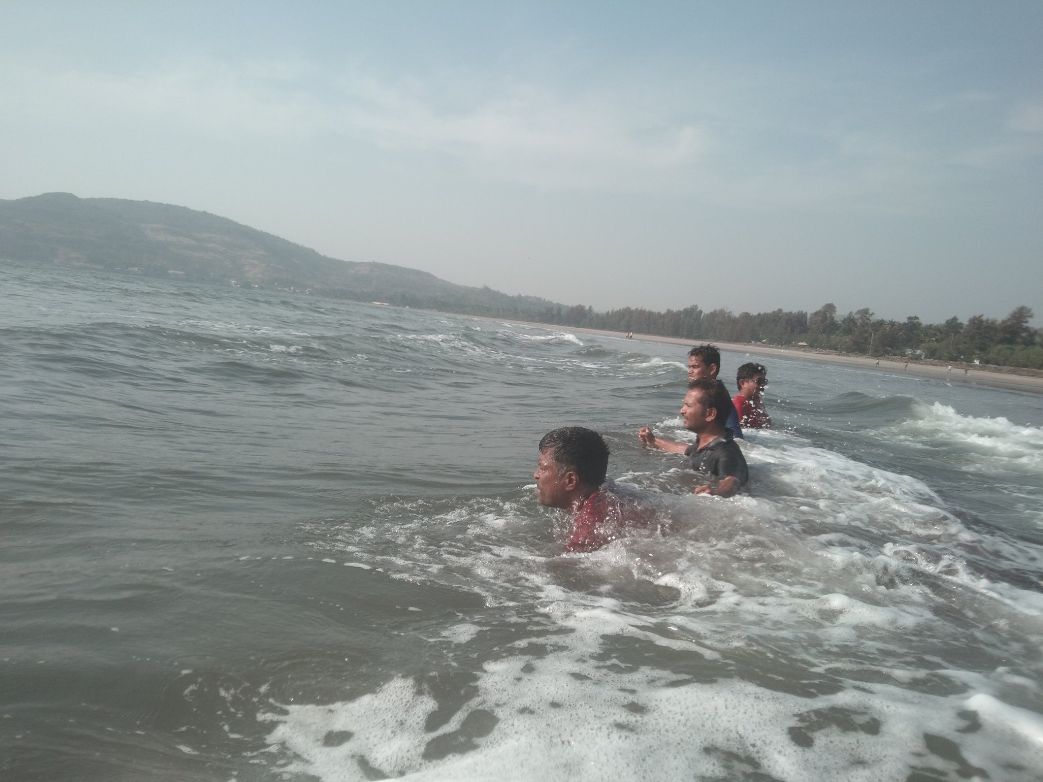 24x7PestManagementServices